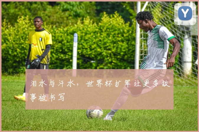 泪水与汗水，世界杯扩军让更多故事被书写